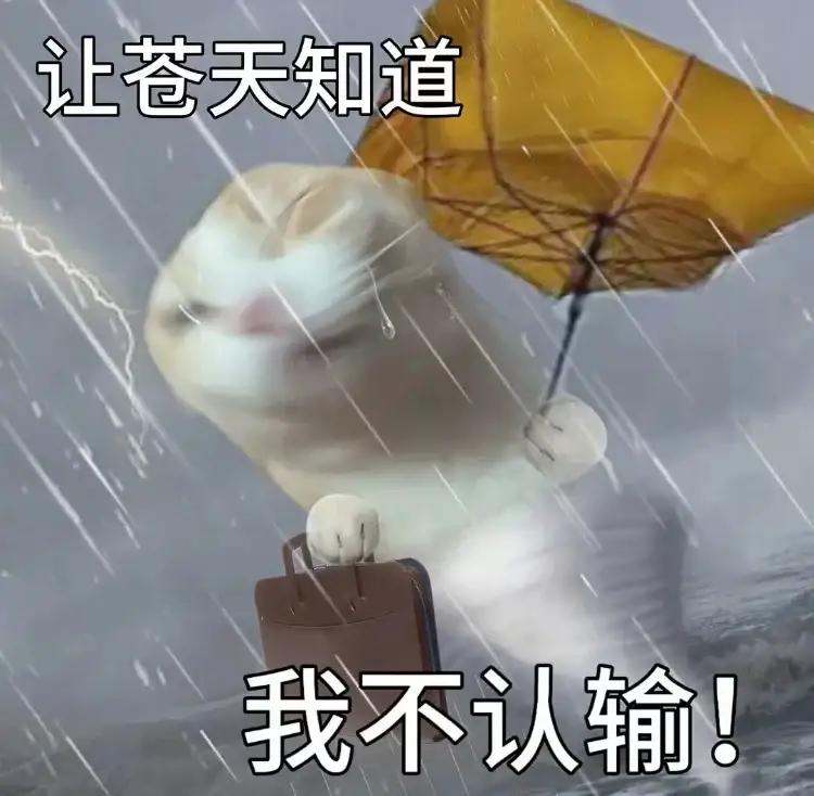 能晒一下你家猫咪慵懒的样子吗哈哈哈这小猫咪不错吧嘻嘻嘻