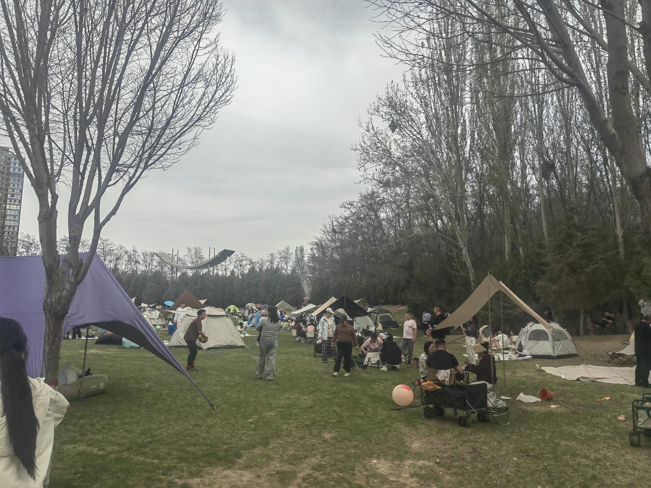 周末去银川森林公园，好家伙，到处都是拖家带口来露营的人。大家都在享受春日好时光，