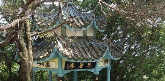 公元1593年，菲律宾红薯高产，西班牙殖民者不准出口，偷运者会被处死，当时福建发