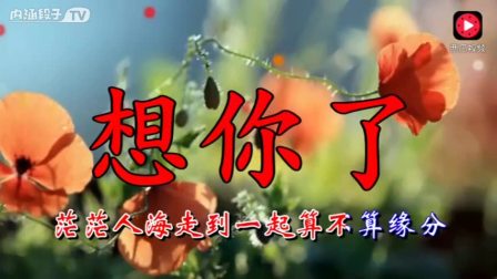 缘分五月简谱_缘分五月简谱歌谱