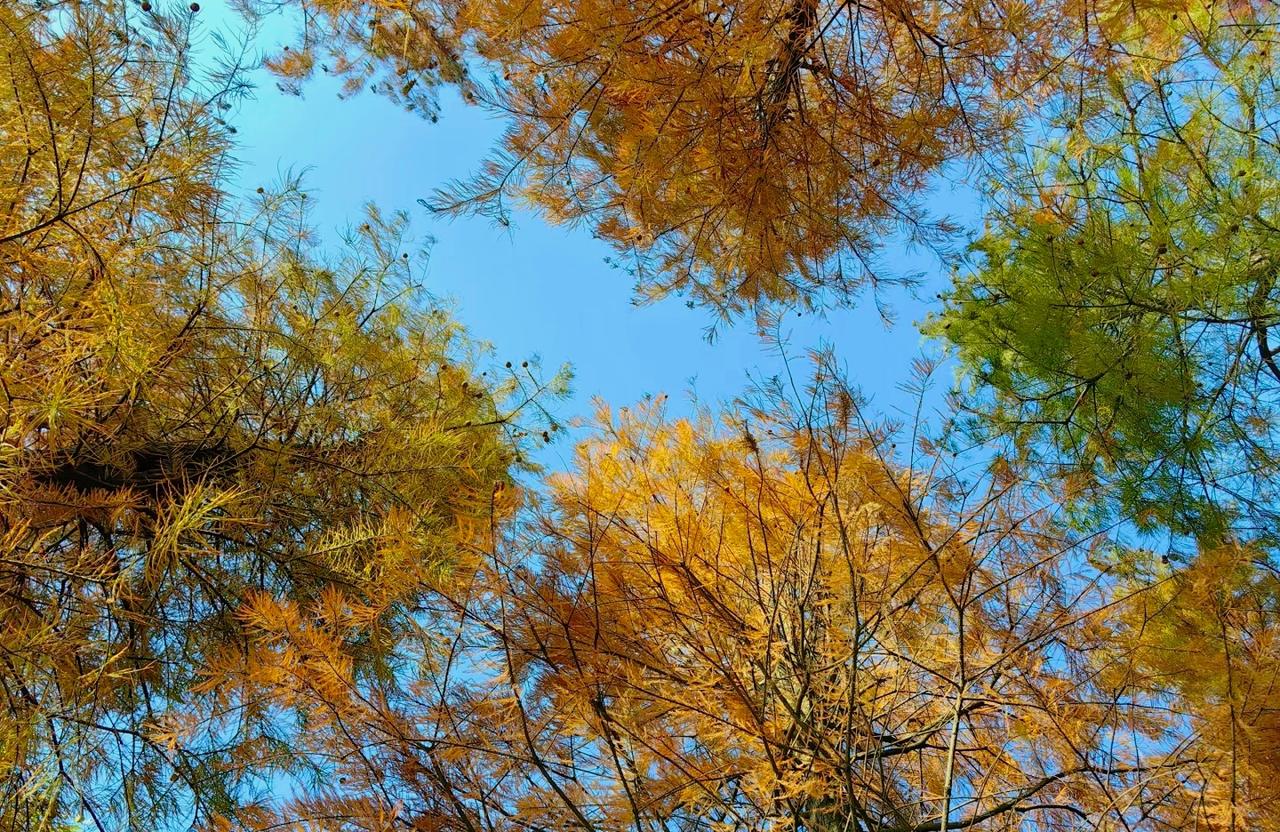 一段有智慧的话曾仕强谈：运气，是自己心念转出来的！你是不是也常听人说“你运气真好