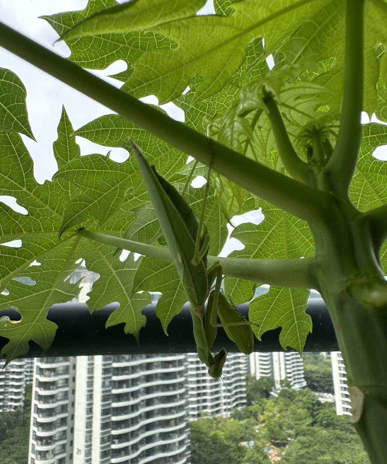 朋友打语音来，没聊完，被一个电话冲断了。等我处理完事情，看看时间，已经是她那边的