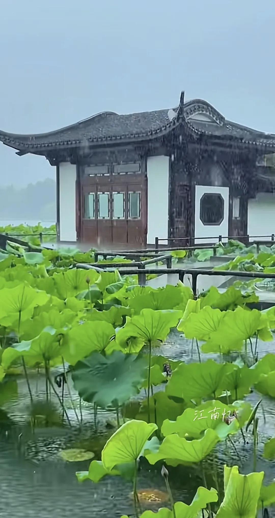 风雨中摇曳着一段又一段感天动地的唯美，段缠缠绵绵的江南烟雨，怎能不让人魂牵梦绕。