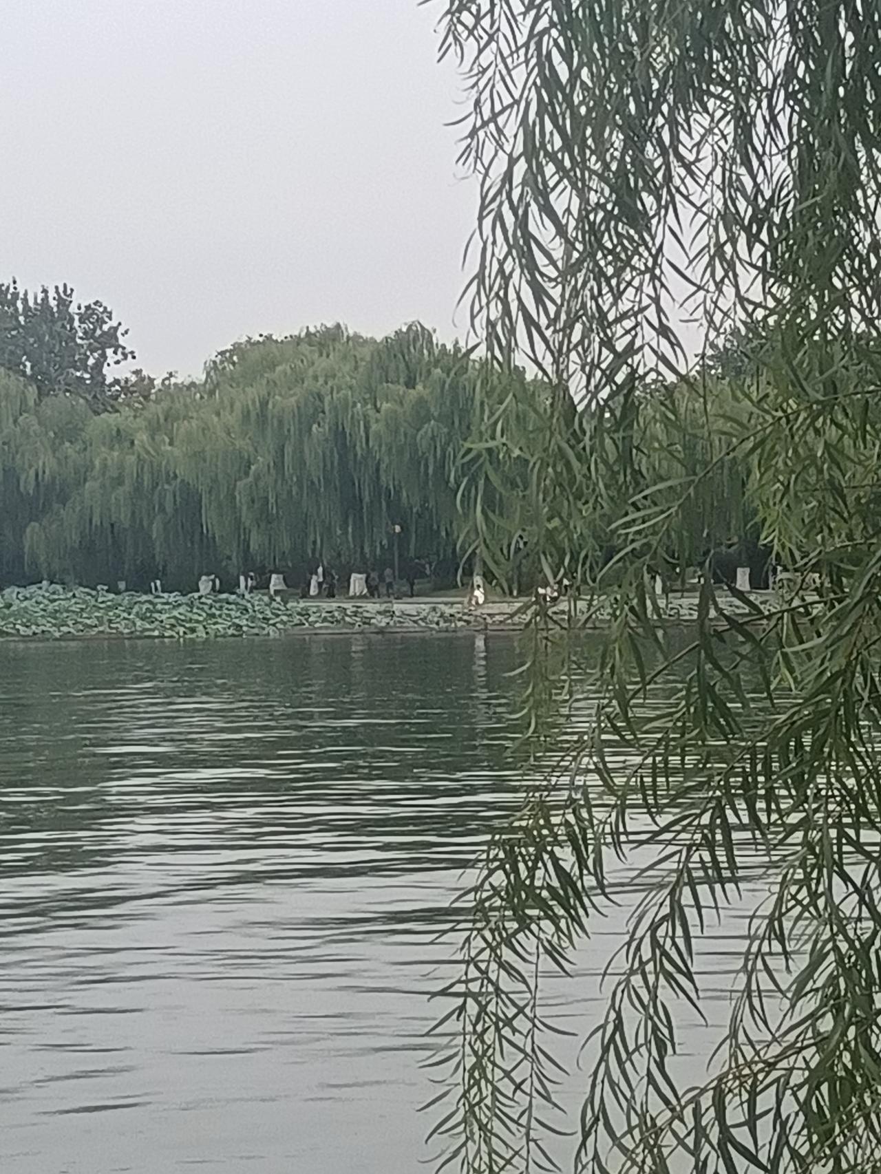 我家的比例是变成80万对20万，应该怎么办？我正纠结中。说来惭愧