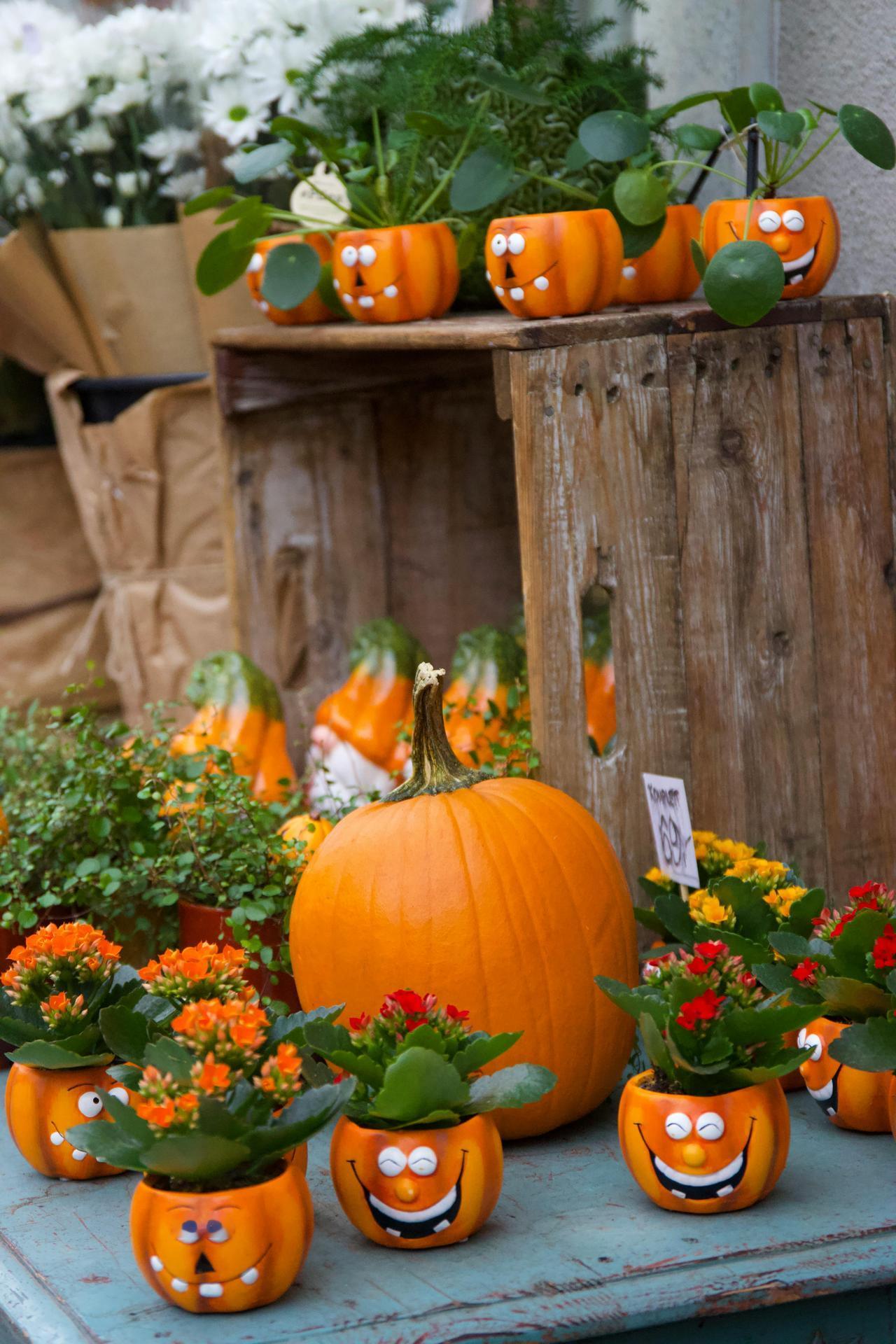 杨绛先生说：“心疼你的人是父母，伤你心的人是爱人，陷害你的人是知己，怕你富的人是