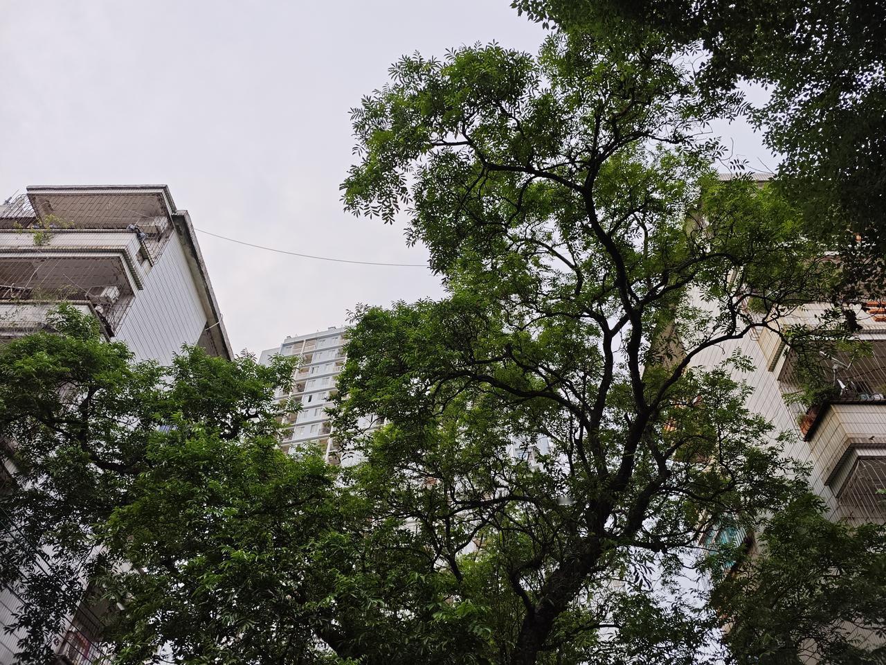 让人清醒的一段话：“为什么要远离社交，因为你大概率碰不到什么优秀的人，优秀的人本