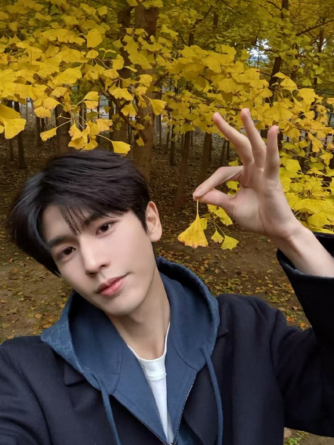 张凌赫抓住枫叶也太像和粉丝在报备的视角啊！