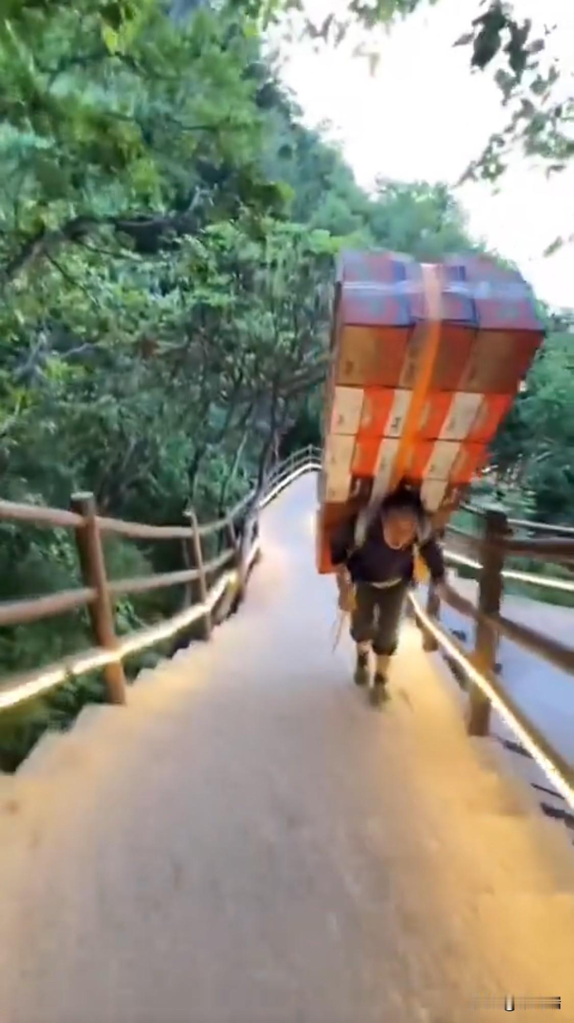 在科技驱动的时代，位于河南省的5A级风景名胜区老君山，于11月30日做出了一个逆