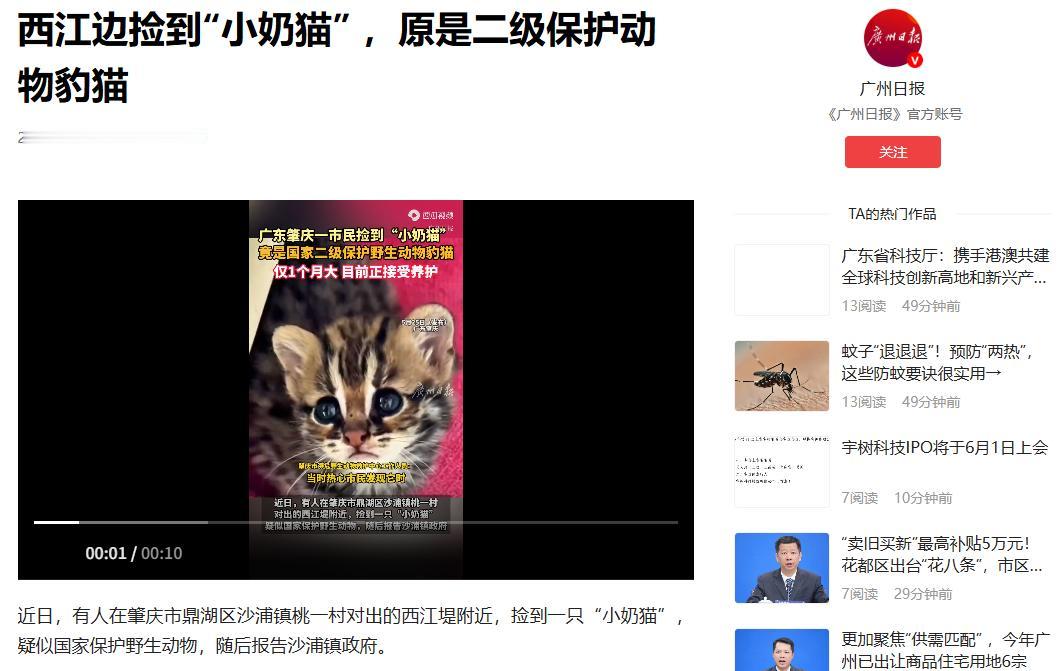 2026年5月25日广州日报报道，广东肇庆，一名市民在江边散步，好心捡到