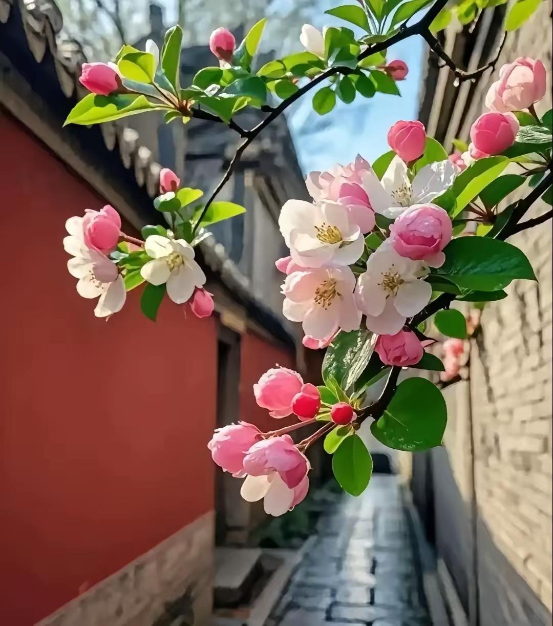 牵挂的力量牵挂，是心里一根温柔的绳。它不捆绑，不束缚，却在千里之外，也能