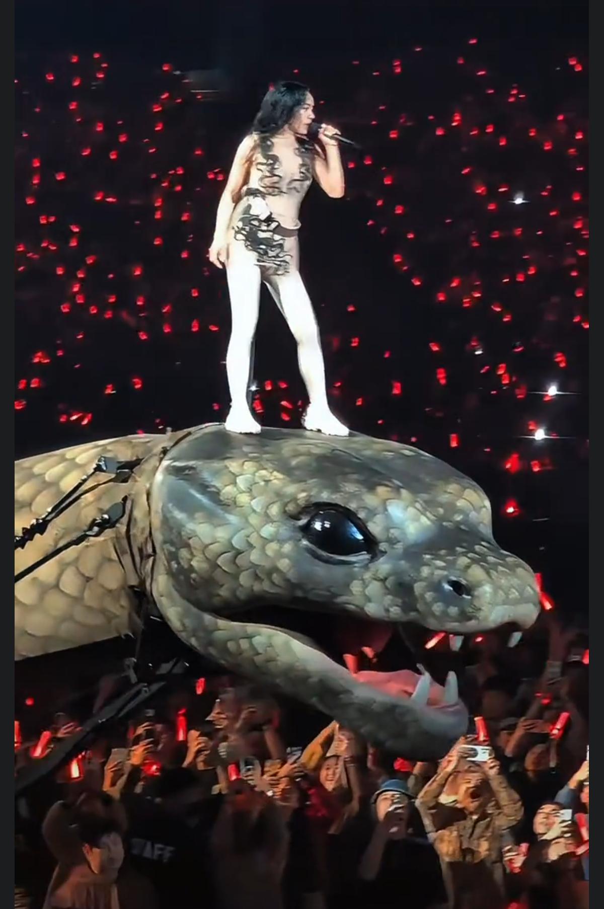 斥资2亿打造的演唱会，机械牛和30米长的机械蛇刚钻出来就被举报，说会吸走观