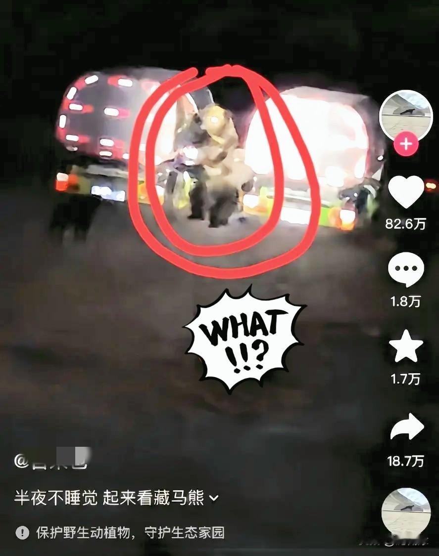 刚看到个离谱事，直接把人类那点可笑的优越感撕得粉碎。有人在西藏住酒店一楼，半夜