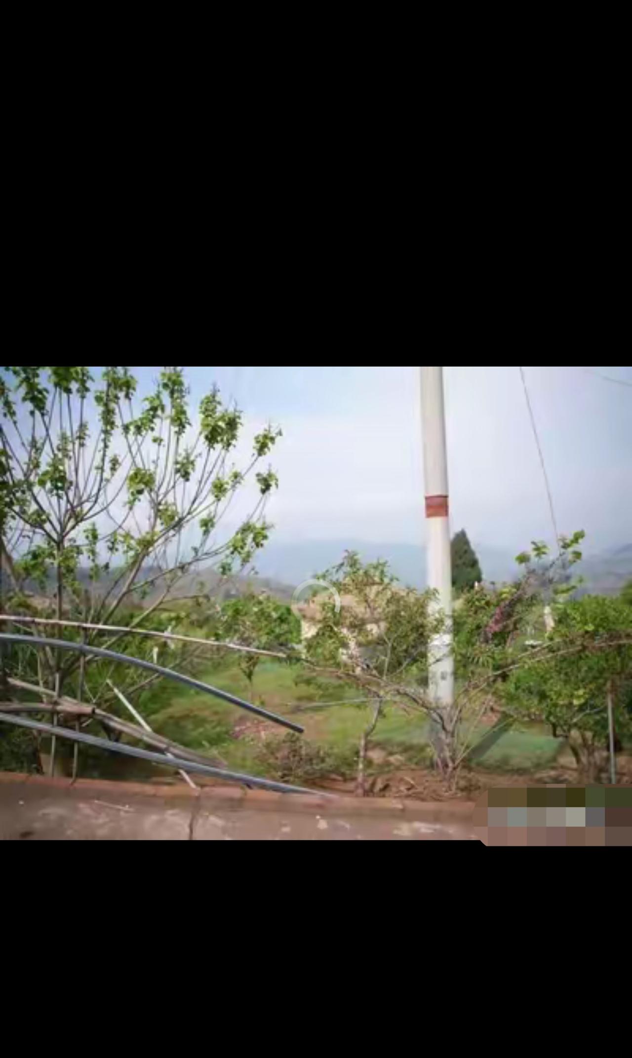 “无理取闹？”四川成都，73岁老人和骑友团4人赏完桃花返回时眼看要下雨，大家决定