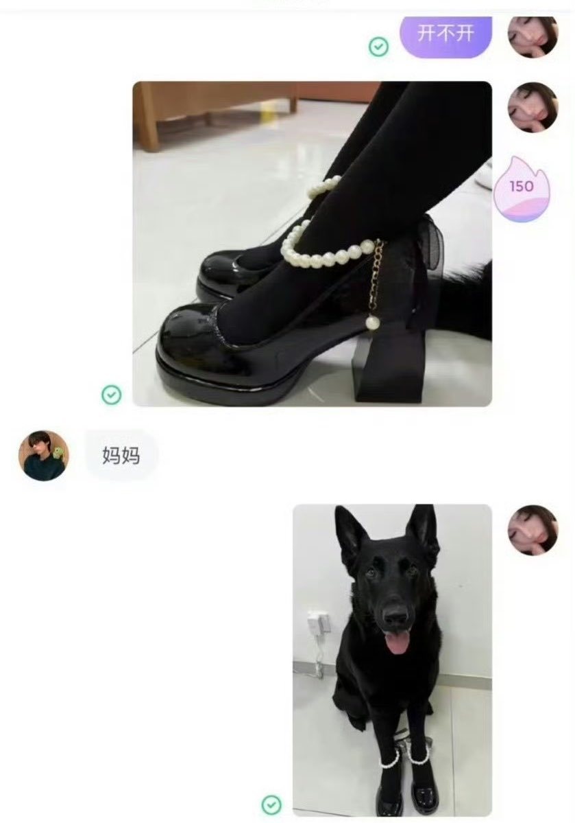 狗妈妈