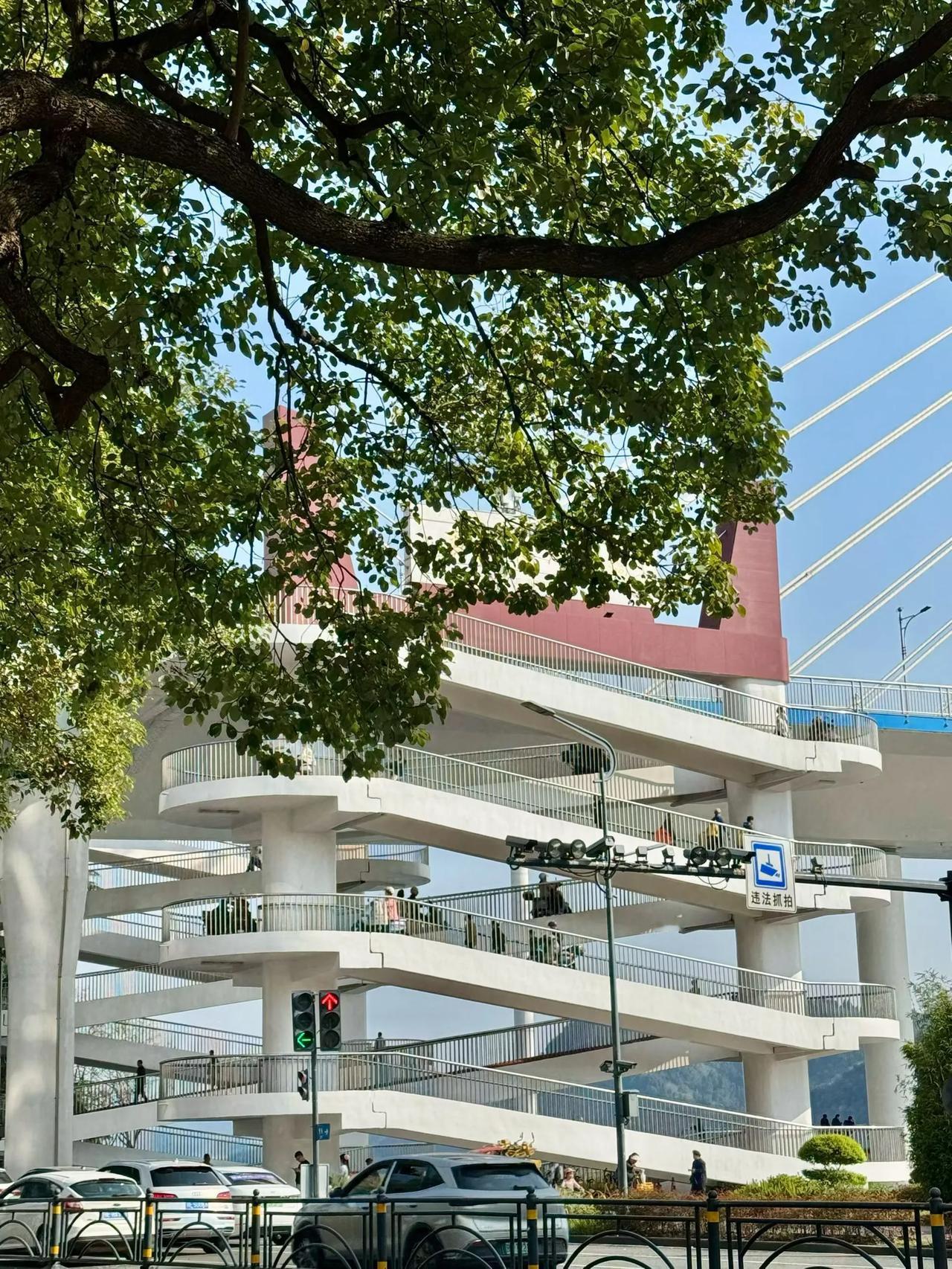 站桩要注意的几点站桩锻炼要注意以下几点：放下，站桩锻炼的起式