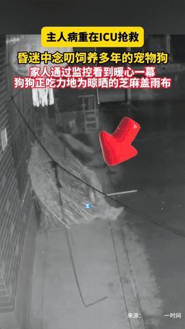 “还吃得下狗肉吗？”安徽阜阳，一女子因病送进医院，结果抢救过程中，她还在操心狗有