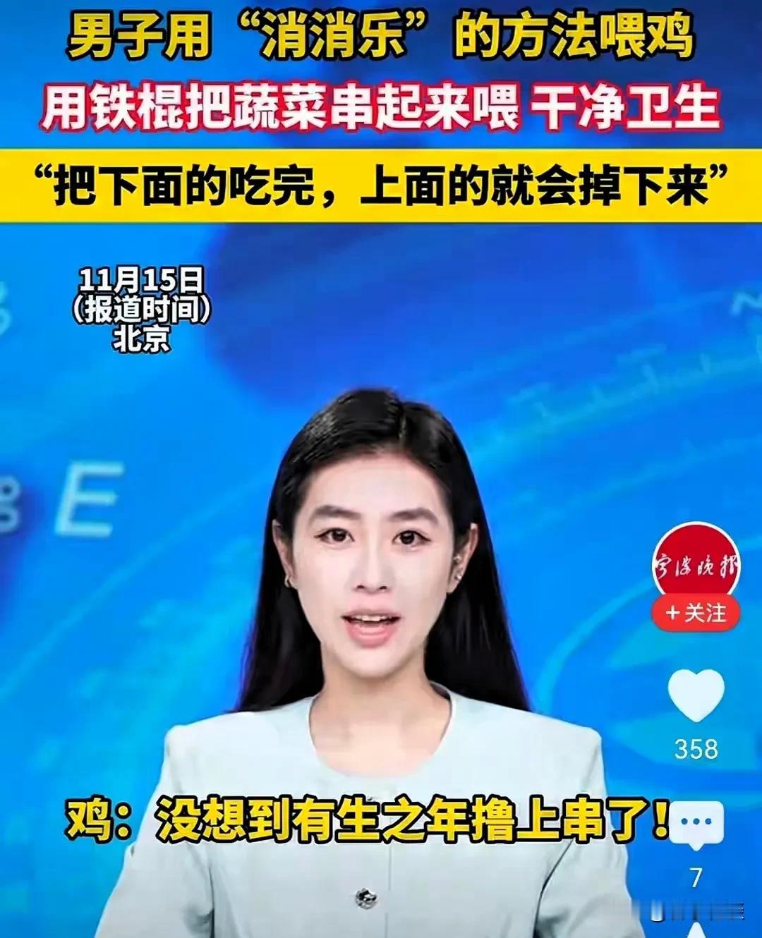 鸡界“消消乐”上演！有一大哥出招绝：1500只挑食鸡被治得服服帖帖这帮鸡专挑嫩