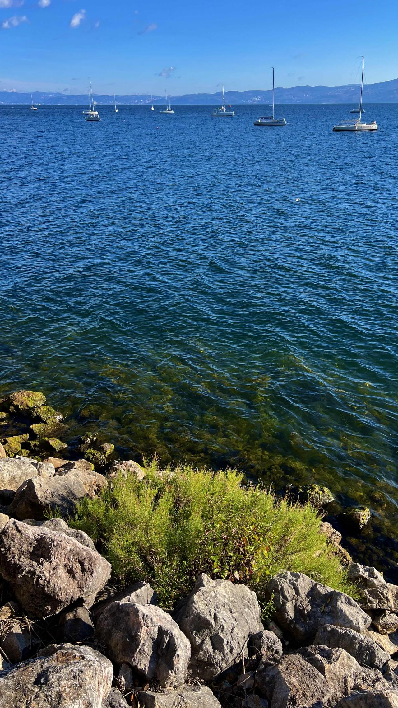 《人民日报》的数据报道：70%的疾病，其实都和情绪有关。由此可见，情绪对我们的健