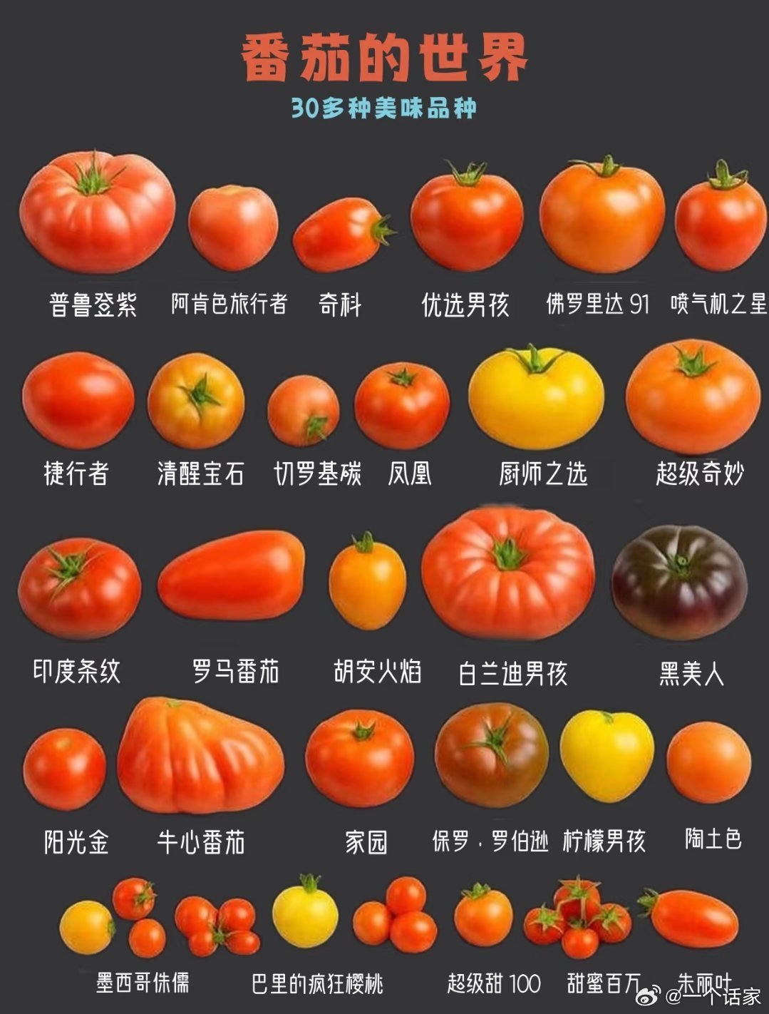 番茄竟然有这么多种，你吃过几种？​​​
