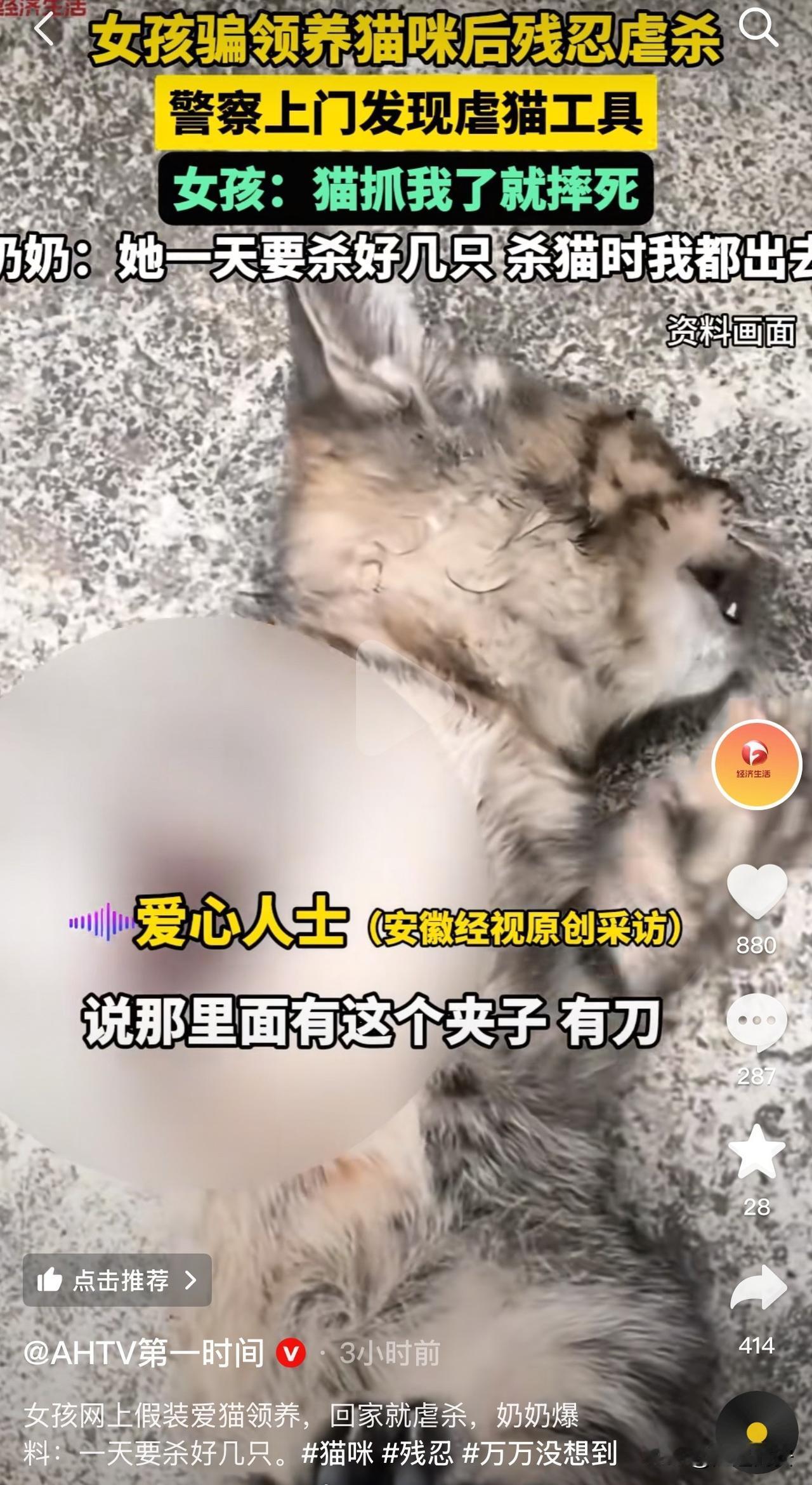 太残忍了！山东菏泽，一女孩在网上假装喜欢猫来骗领养，结果回家后就虐杀，她奶奶称，