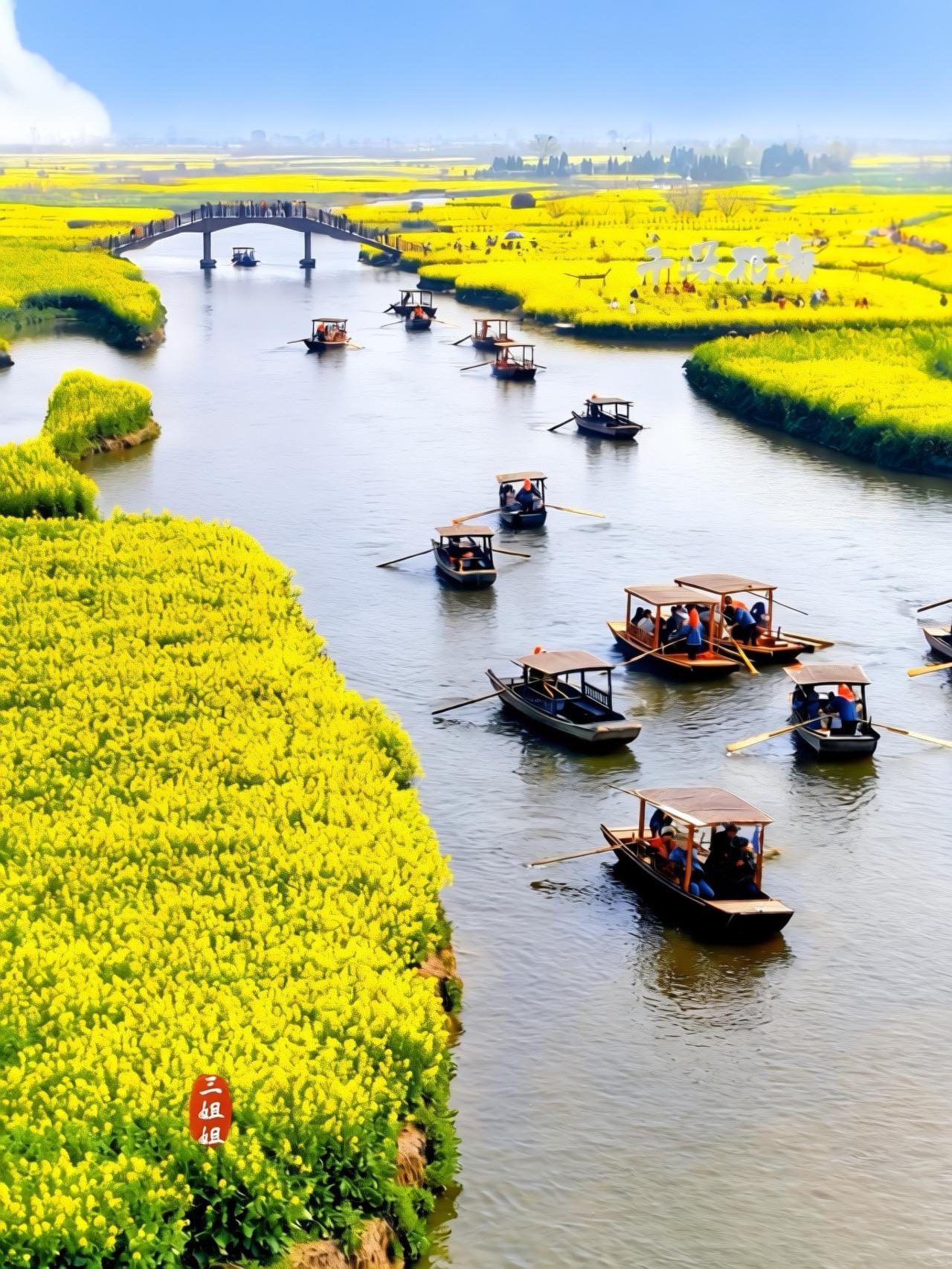 去兴化千垛看有财花，迷失在金色花海中。花开有时，相逢有期，春风送暖，千垛水乡，