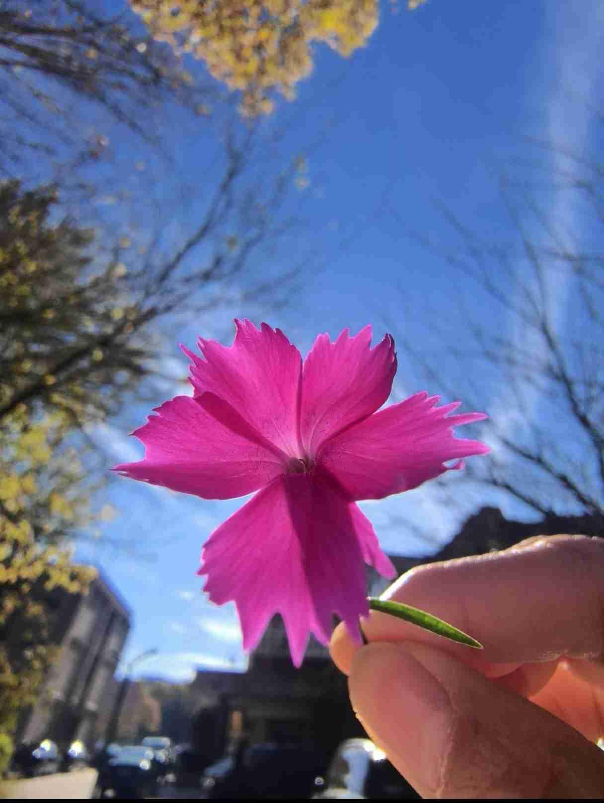 我的今日状态：😁轻松愉快我这里的天气：☀️晴天