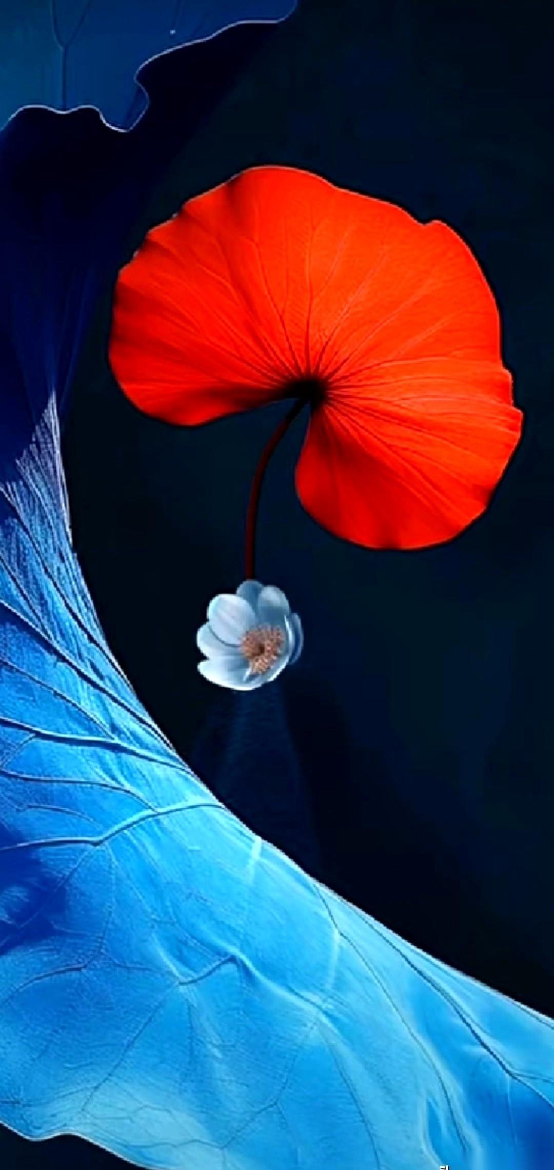 听我儿子说，他同学的妈妈，又去北京了。先是切子宫，然后红斑狼疮，再是腰，现在又