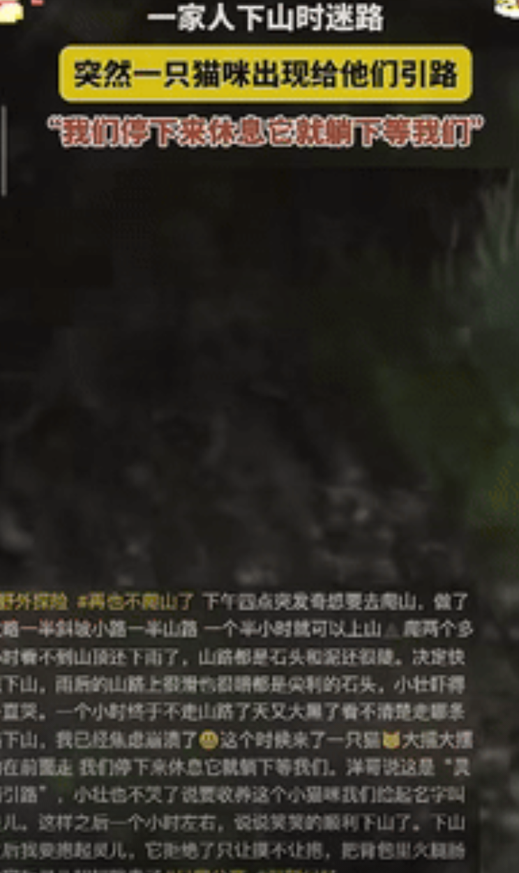 “真成精了！”黑龙江一家人爬山途中下雨了，于是就想快点下山，谁料，雨后的山路不仅