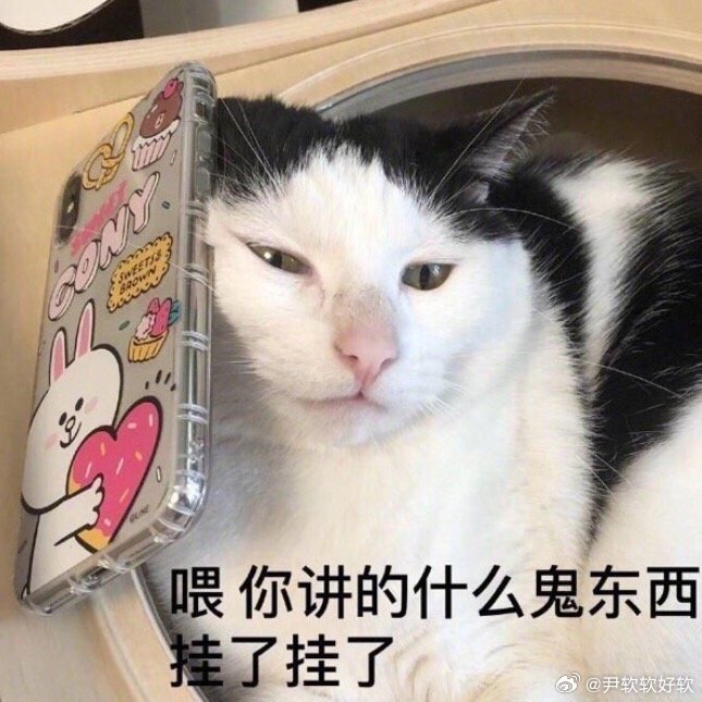 没事就翻翻那年今日以前的咪真是活泼的咪现在想一个放在沙滩上的鱼，老半天不知道能说