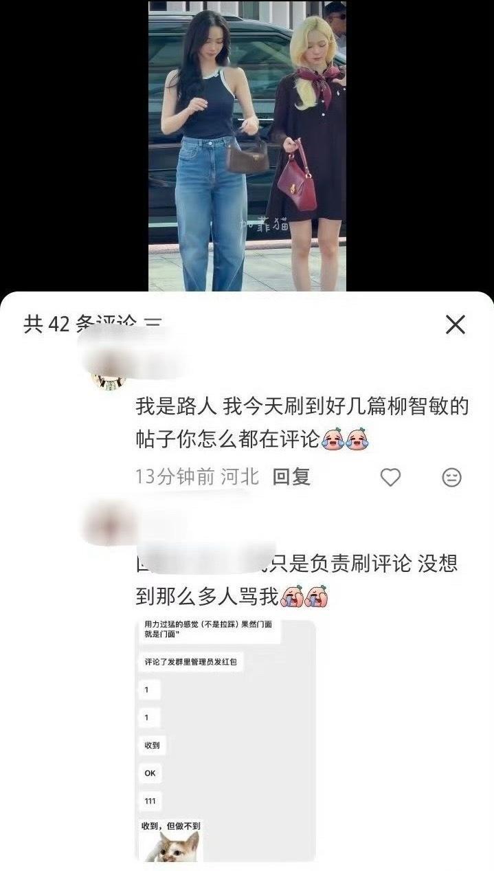 “我只是负责刷评论”汼丝又破费了