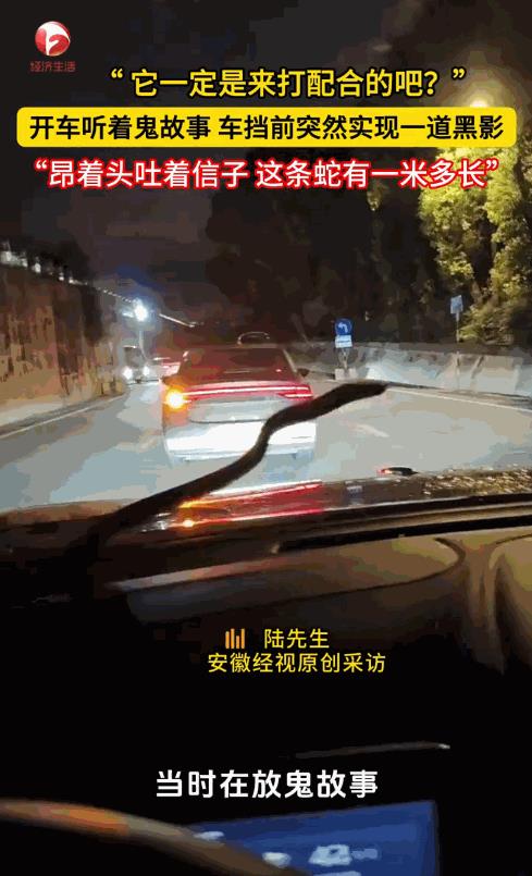 “这是真吓人！”9月19日，四川成都，一男子晚上开车时放鬼故事，正听得入神时，挡