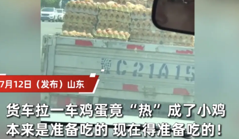 活久见！山东，男子拉了一货车的鸡蛋，谁知道由于天气炎热，小鸡们竟然直接在车上破壳
