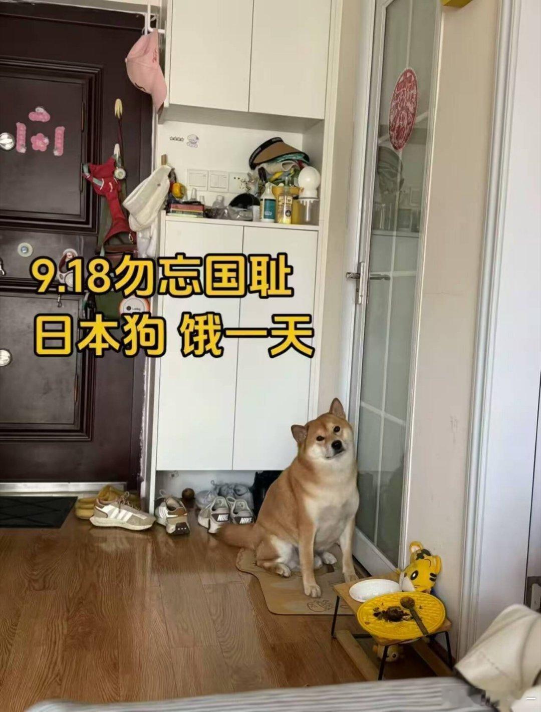 每日趣图​​​