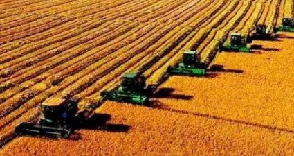 全球化肥告急，中国凭什么底气十足？当全球都在为化肥短缺焦头烂额、多国陷入春耕