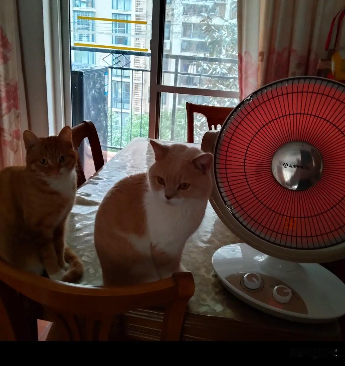 都说南方好，你说南方有啥好的，冬天比北方还冷呢！一个朋友在武汉，今年他们那儿