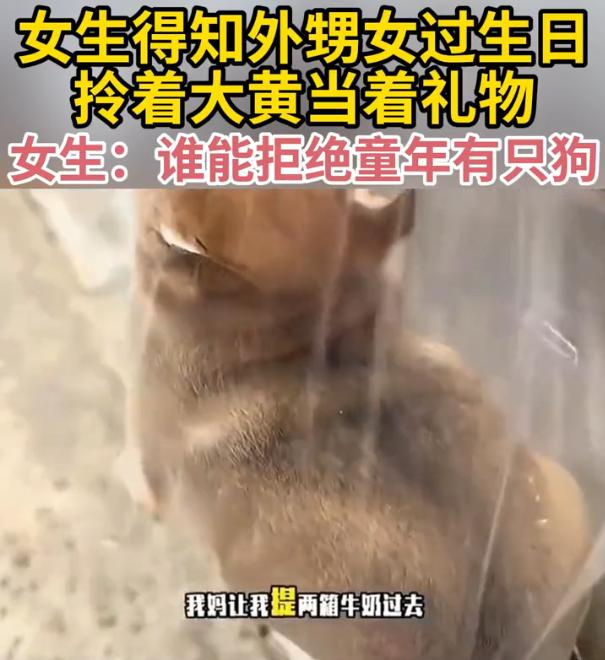 笑不活了！外甥女过生日，女子的妈妈让她拎着两箱奶过去看一下，没见到，女子直接拎着