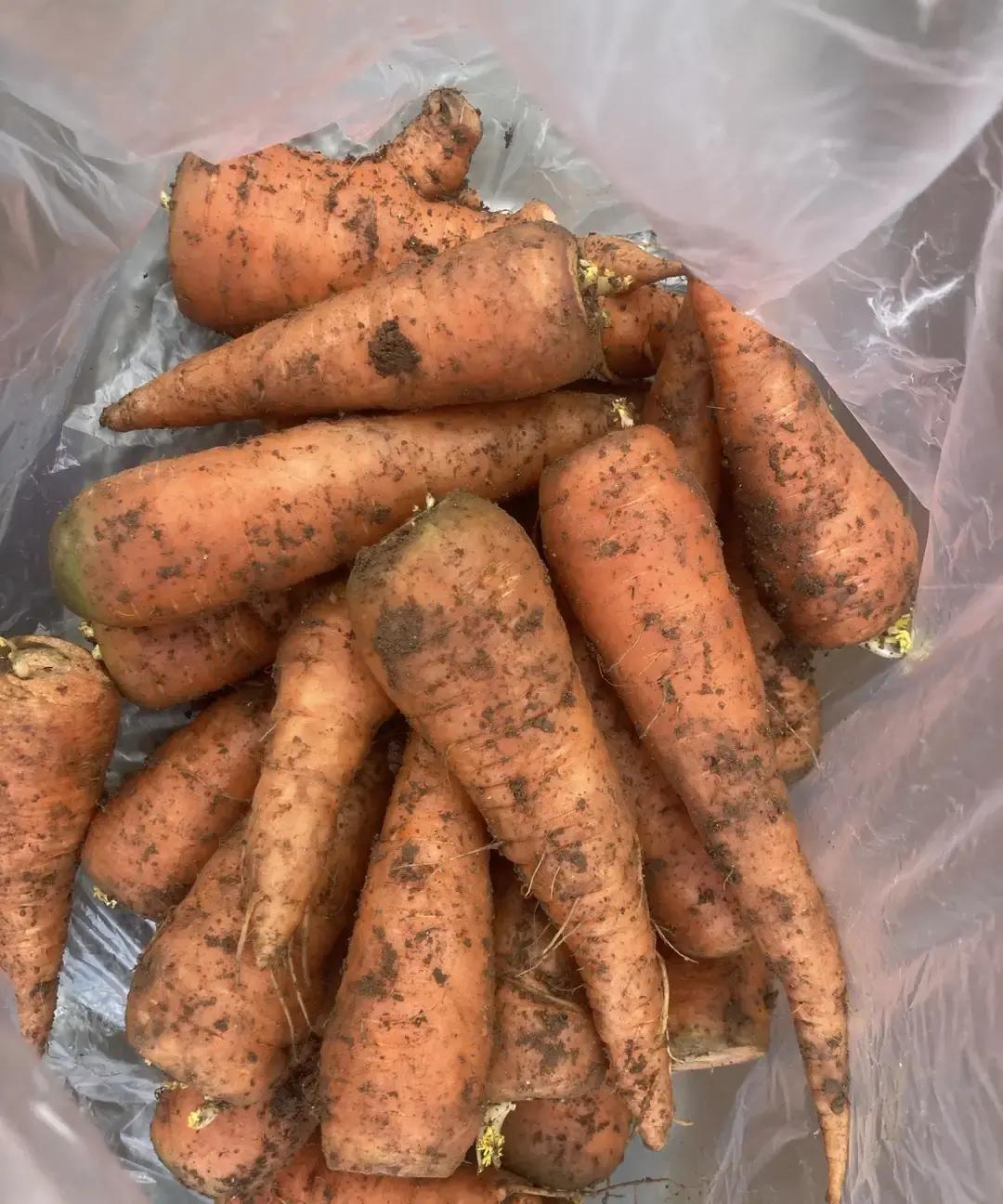 婆婆骑电动车给儿媳送自制豆腐丸子和自家种的蔬菜，这事最近在网上传开了。据说那天