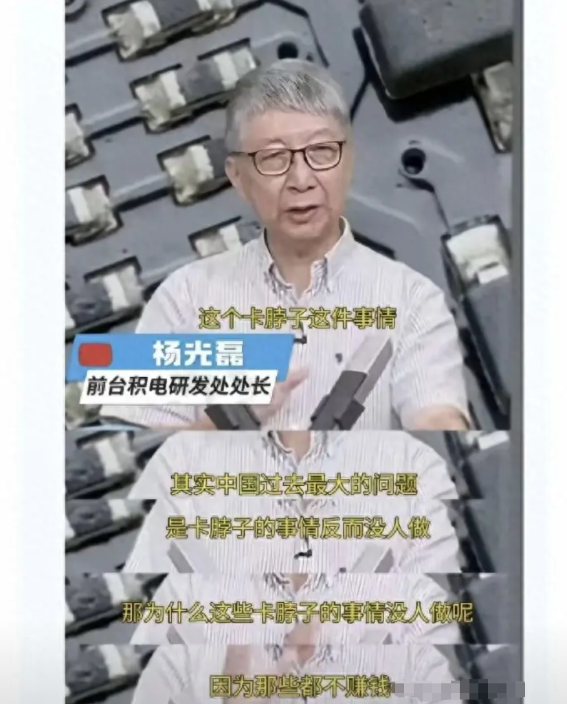 台积电前研发处长杨光磊说：中国芯片受限于“投资大、周期长、赚钱慢”，缺乏长期补助