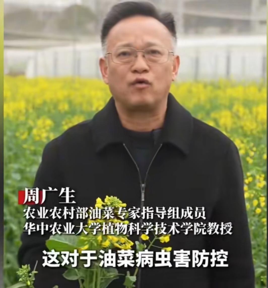 周广生“花期打药论”：披着科学外衣的伪专家话术周广生教授公开鼓吹“油菜花期必