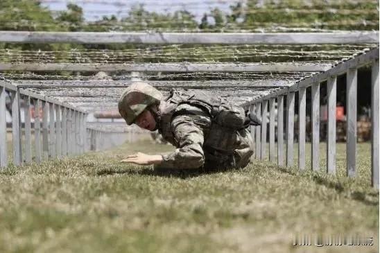 为什么大部分人当兵只能选陆军或武警？网友提问：为什么大部分人当兵只能选陆军或