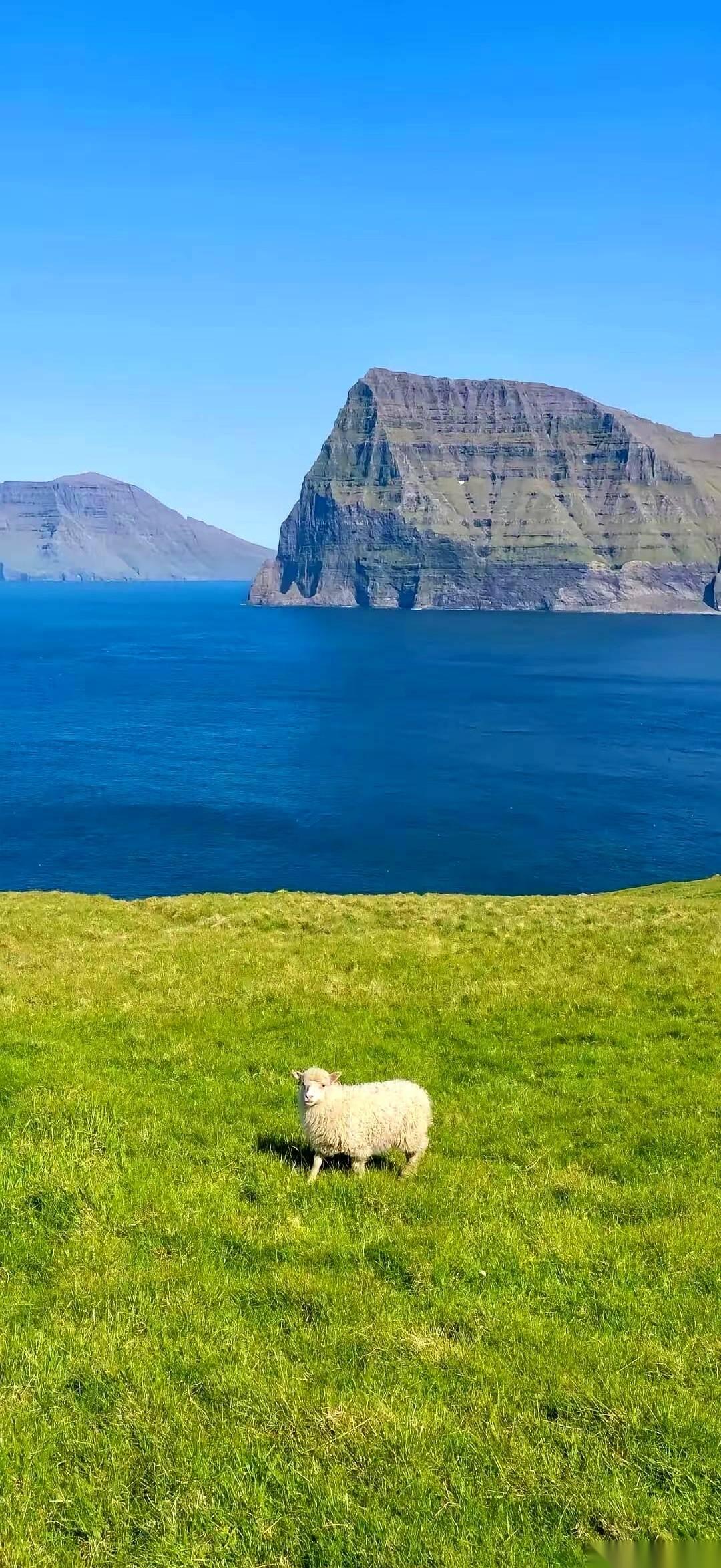 有一天你要是躺在ICU里，医生问外面的人“还救不救”的时候，你猜猜，有权力、也有