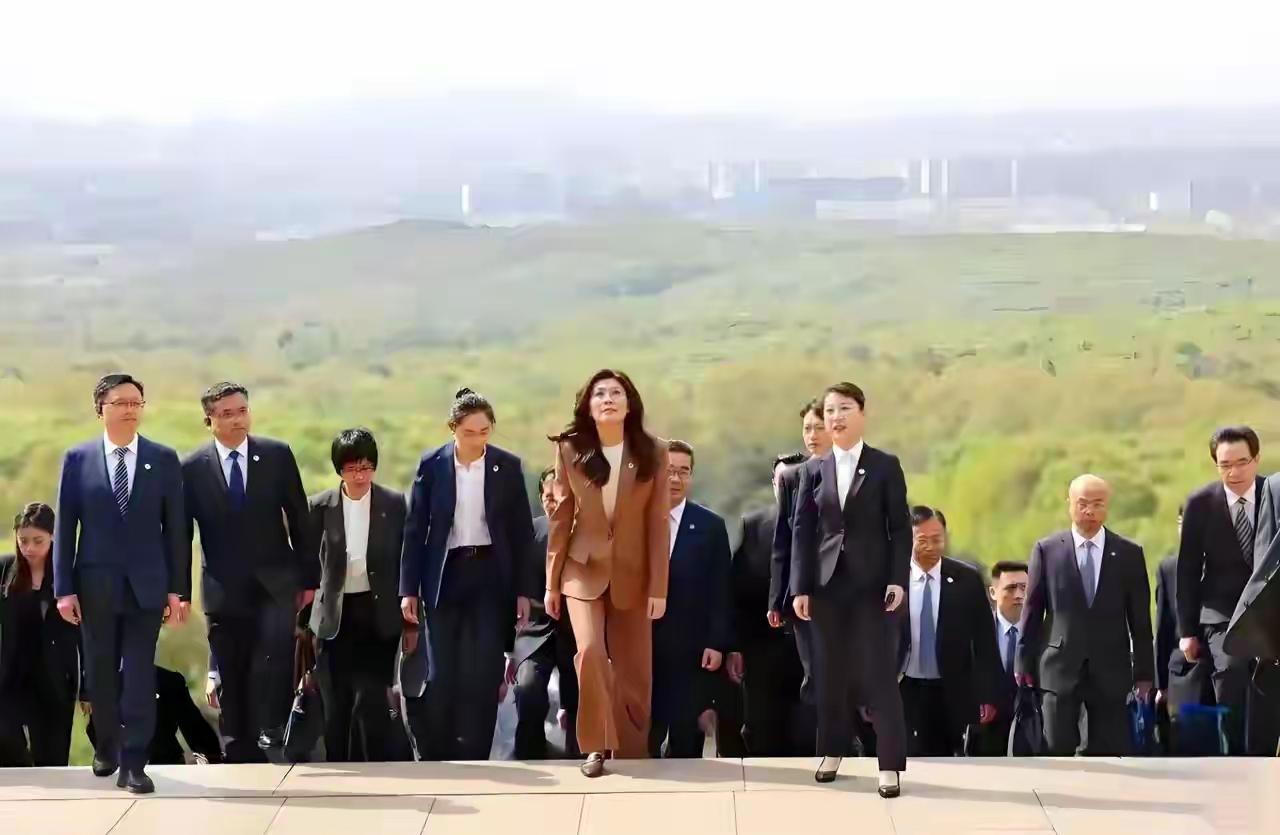 郑丽文很赞！很多人想一步到位，急迫心情可以理解，我也如此，恨不得郑丽文直接说愿