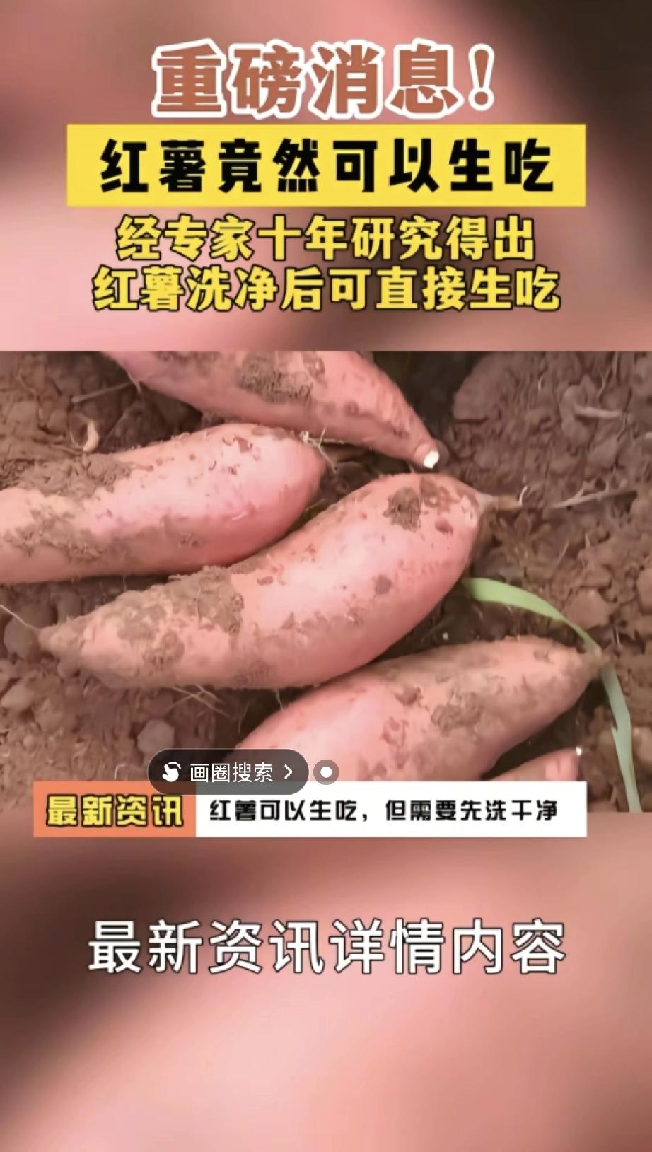 专家研究十年宣布：红薯能生吃！网友当场笑喷：“我奶奶啃生红薯几十年了，现在才出科