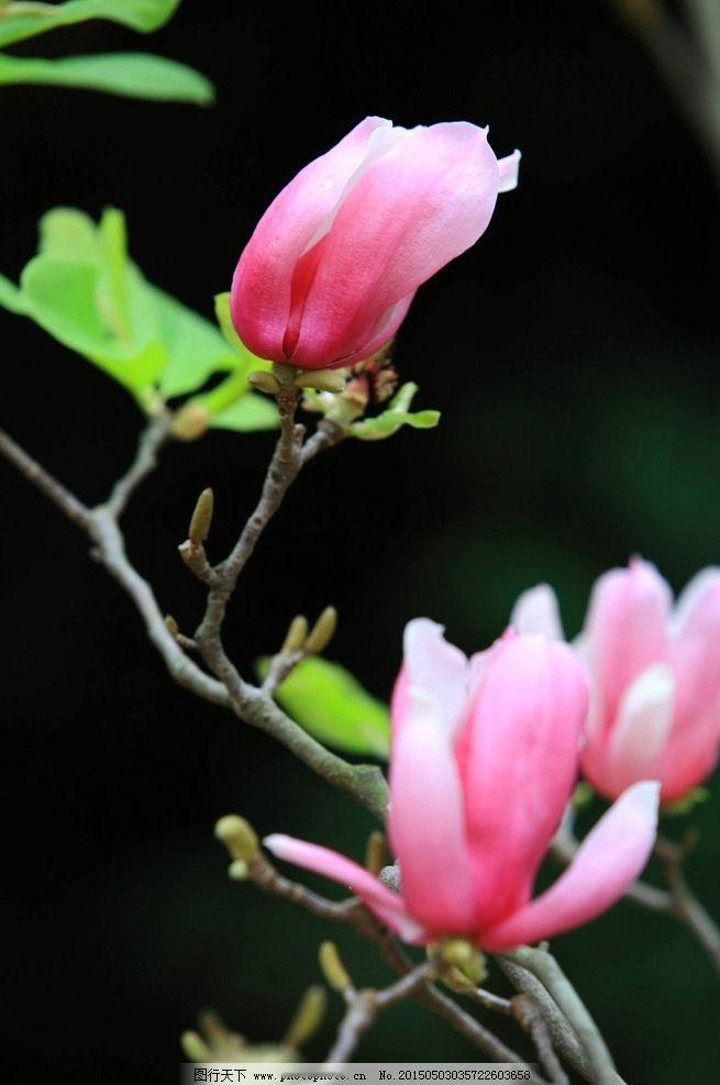 二月走势猜测，节前布局方向探讨！这个周末，国内市场消息面有利好也有利空。利好方