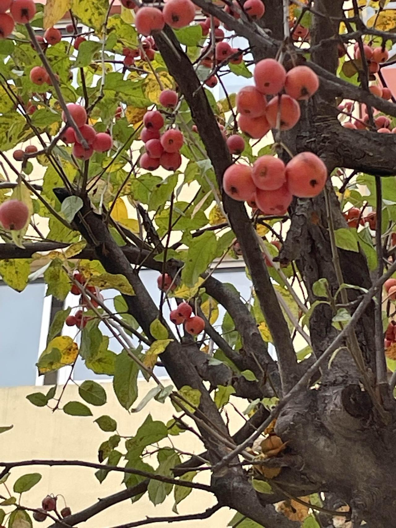 今天早上，我闲着没事，到一个社区找朋友，结果，我发现这个社区与众不同，是什么与众