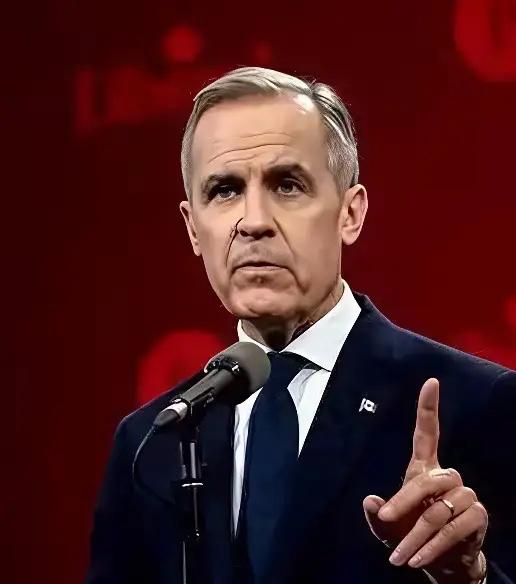 加拿大总理卡尼强硬了，不畏强权，敢对美国的错误行为说不？和美国没有同流合污，针对