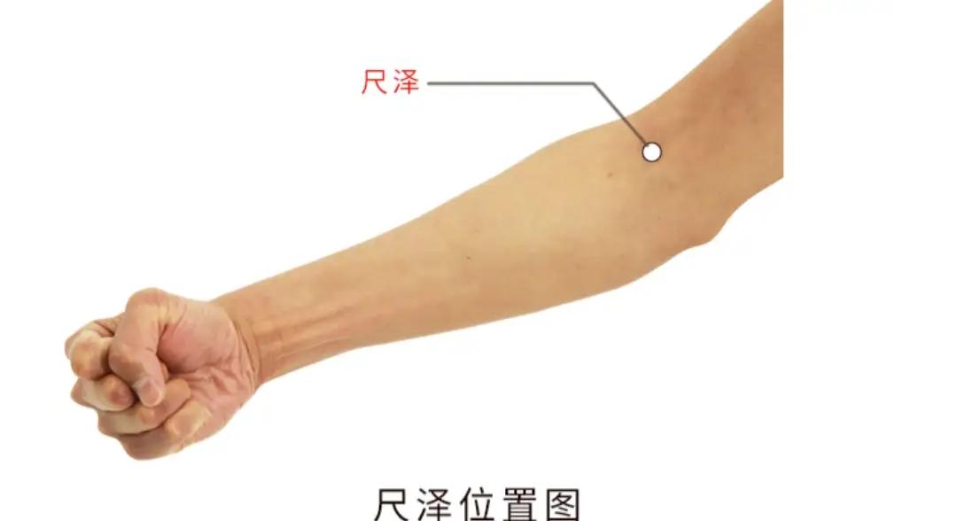揉对这处“动力穴”，气血足了，肾也跟着强总觉得没精神、累得快，不少人会下意