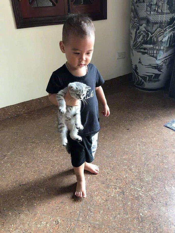 猫：我已经长大，不再是你的小宝贝了...