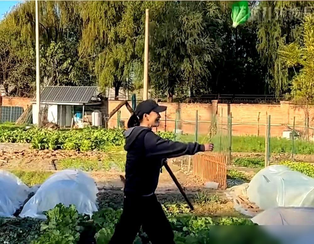 谁能想到，梅婷价值千万的顺义别墅里，最值钱的竟然是那一地烂泥巴和刚出窝的土鸡蛋。