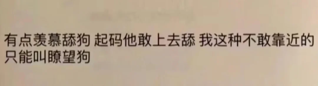 真的笑死我了哈哈哈哈